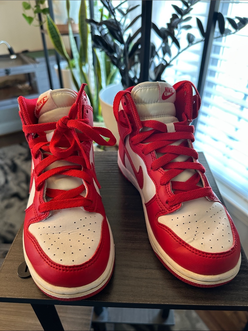 Nike Dunk High PS 2Y